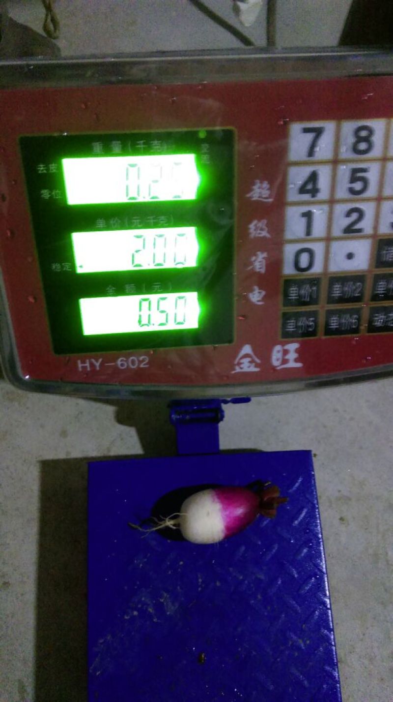 红皮萝卜0.2~1斤起