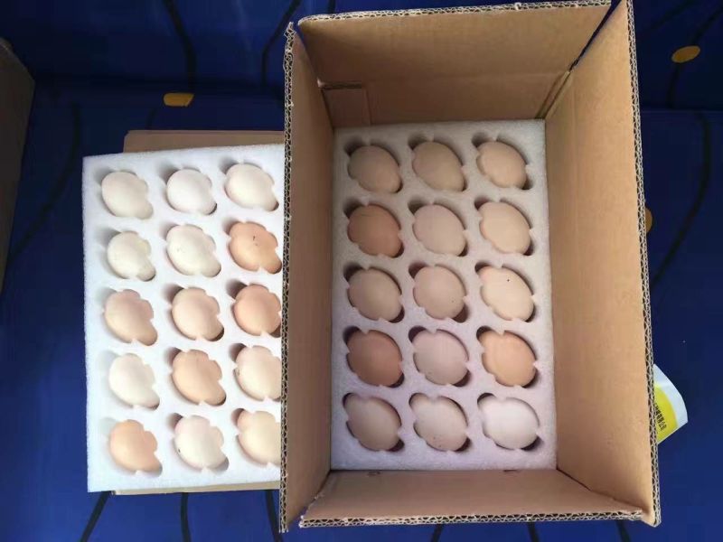 土鸡蛋食用50g以下