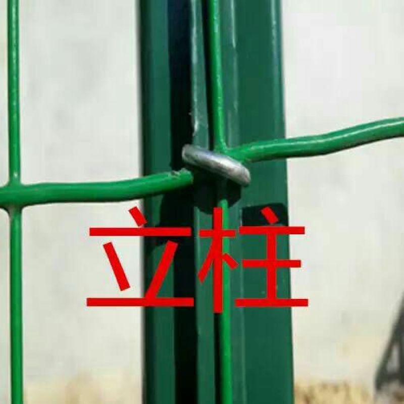 荷兰网