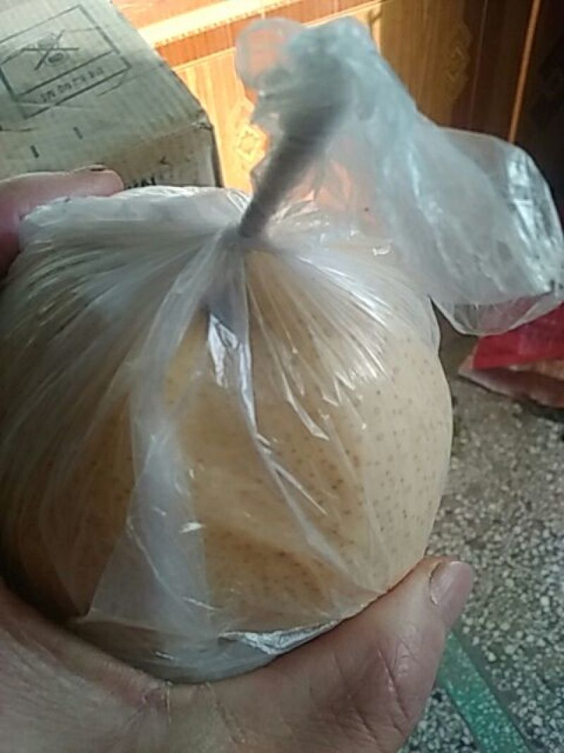礼泉酥梨150~200g纸箱