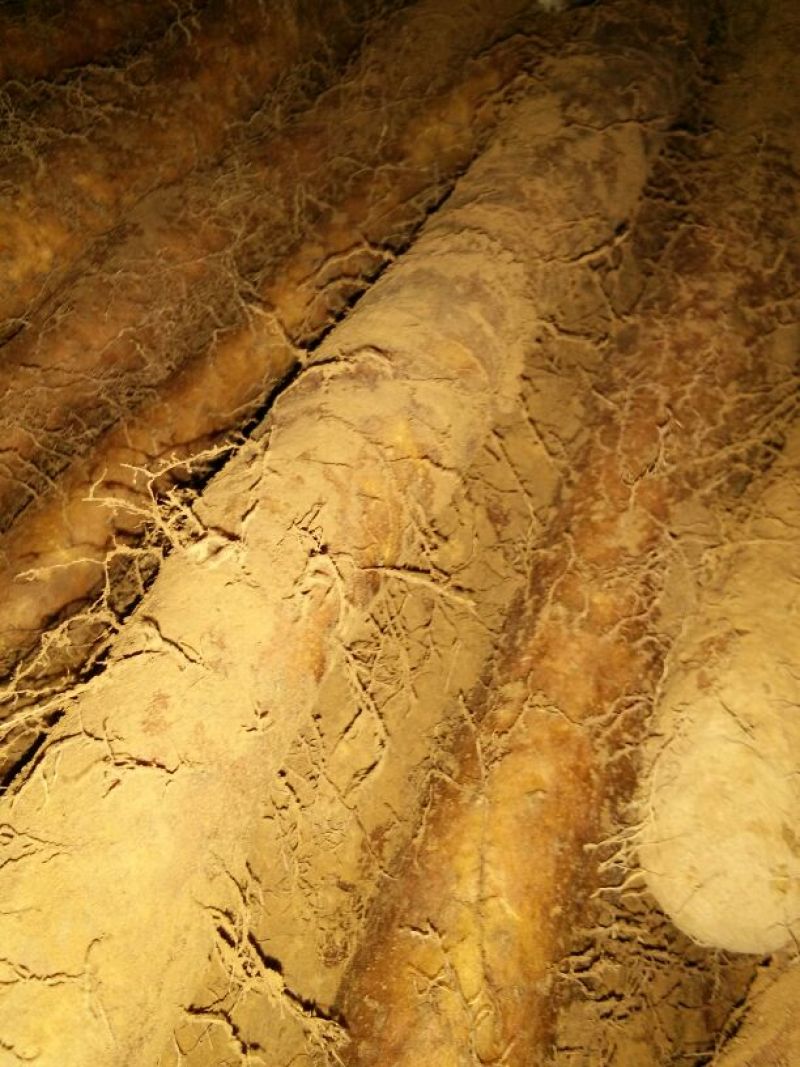 白玉山药2~3厘米25~30厘米一级