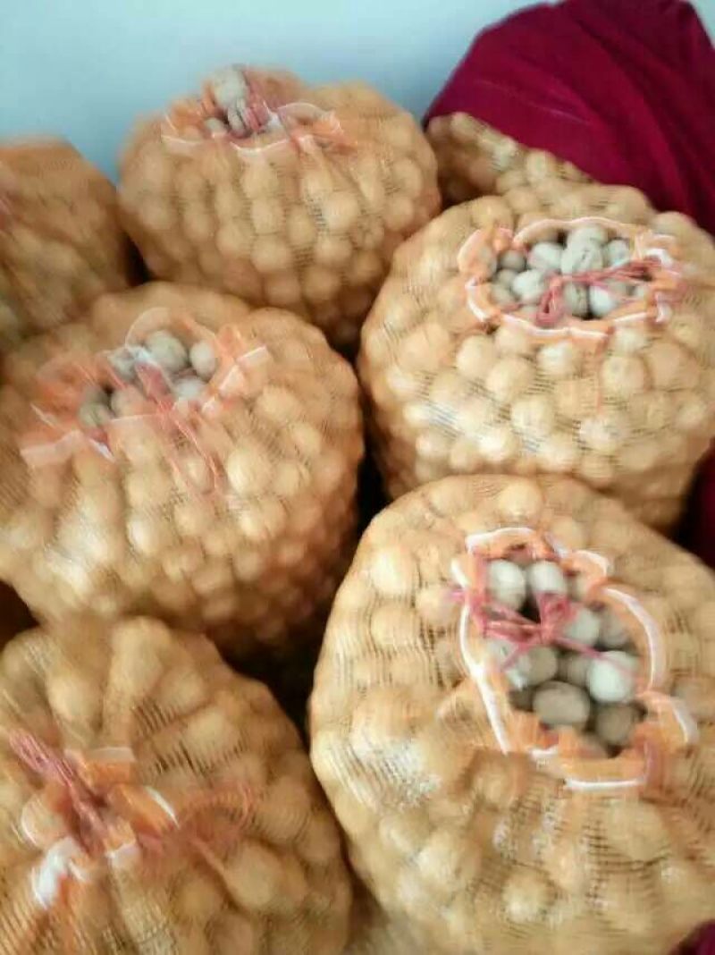 纸皮核桃30mm以上去皮干