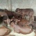 优质南阳肉牛犊200~300斤