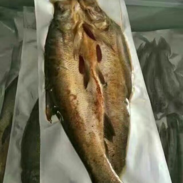 香酥鱼