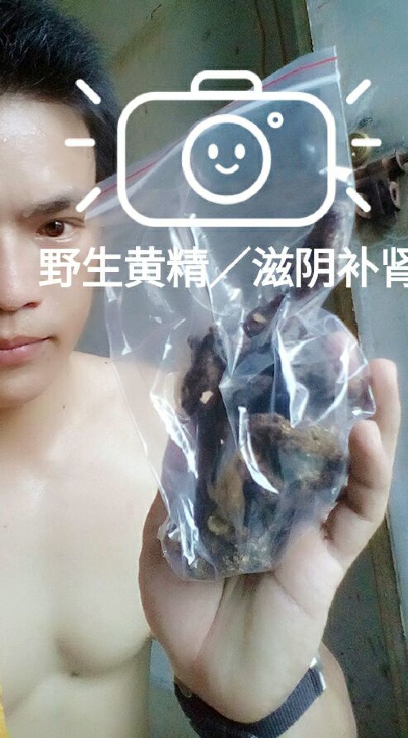 黄精
