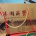 孟加拉蟹兴化大闸蟹
