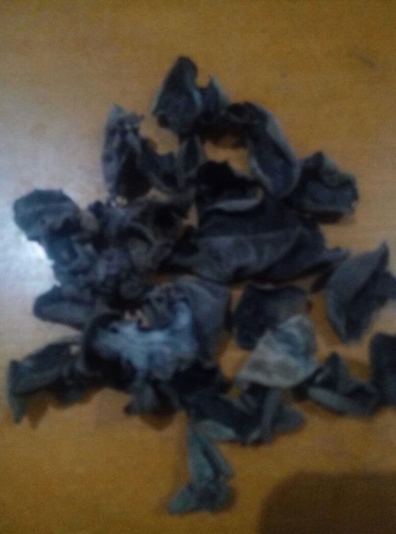 黑木耳一级