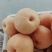 晚秋黄梨500~550g纸袋