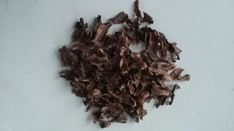 分心木
