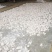 红薯淀粉袋装