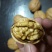 核桃去皮干