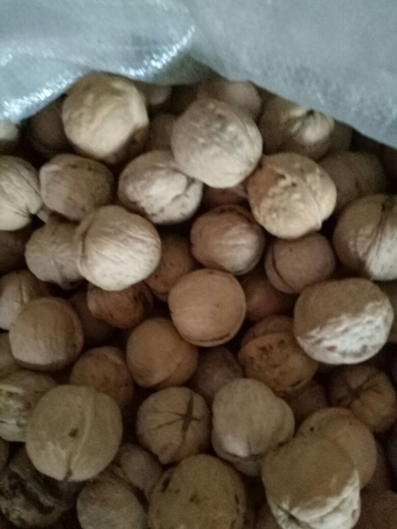 薄皮核桃去皮干