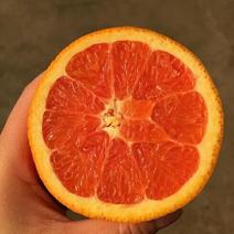 红橙橙子柑橘产地直销保质保量欢迎订购24小时在线
