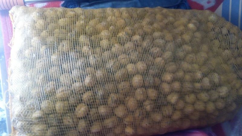 薄皮核桃30mm以上去皮干