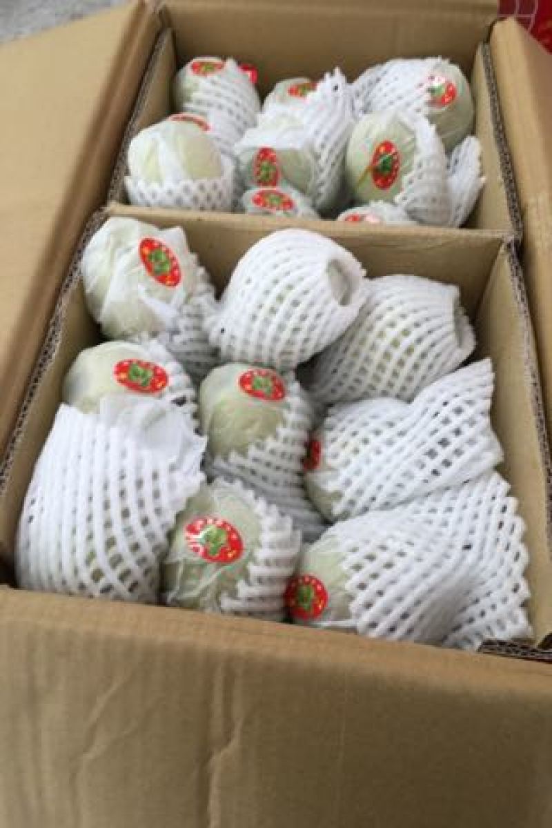 库尔勒香梨