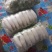 白萝卜2~2.5斤起