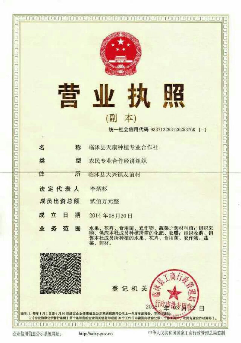 晚秋黄梨400~450g纸袋