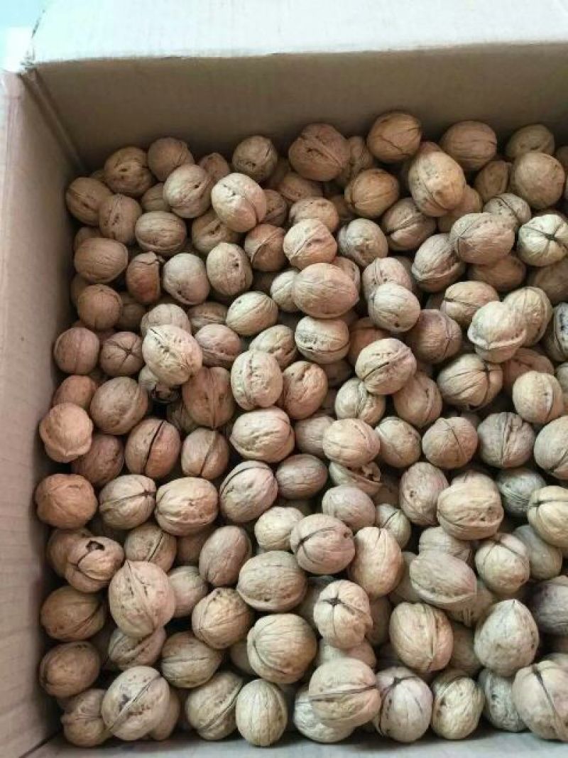 薄皮核桃去皮