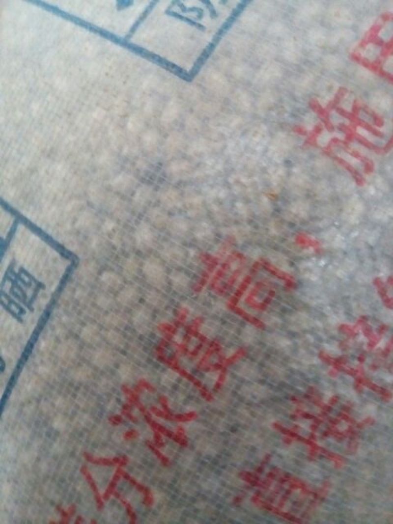 薏米