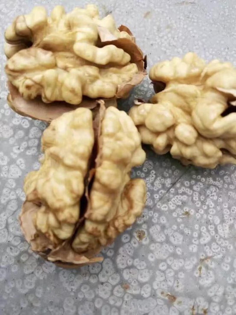 新二核桃