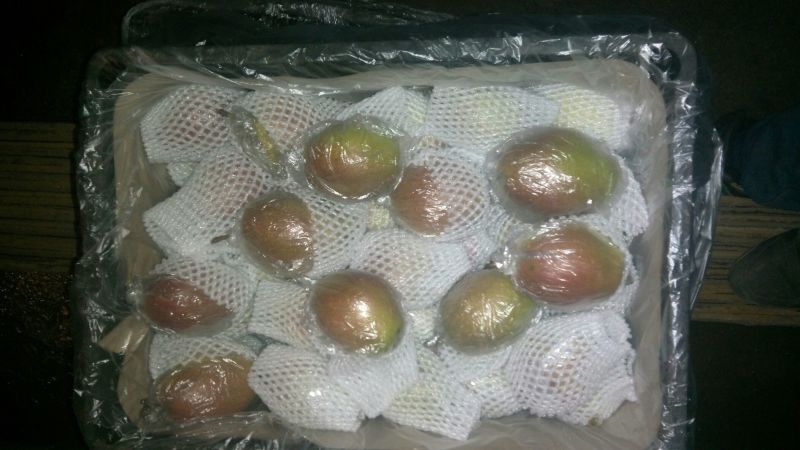 红香酥梨400~450g膜袋