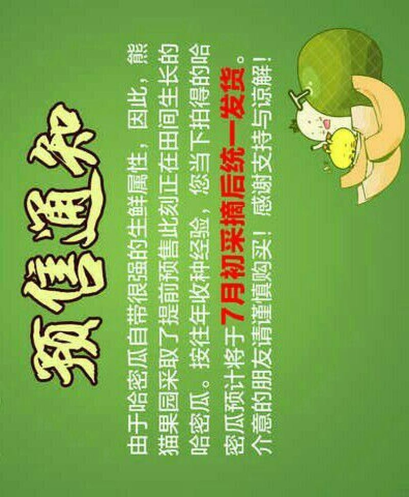 新甜哈密瓜2斤以上长圆形