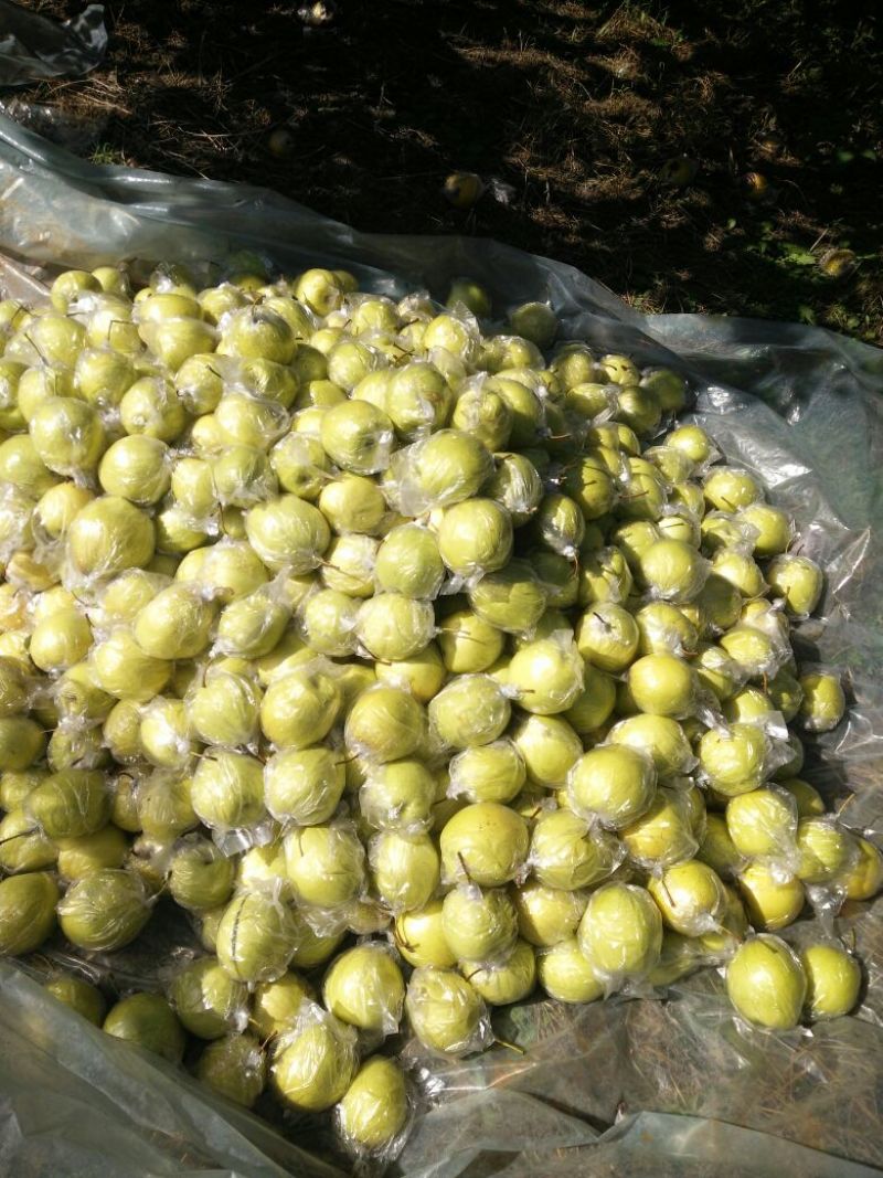 雪花梨350~400g膜袋