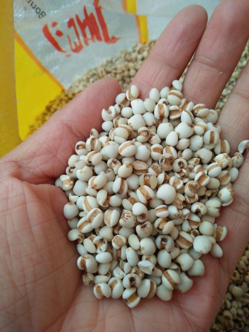 薏米药用无硫薏米薏仁米贵州米麸炒薏仁米