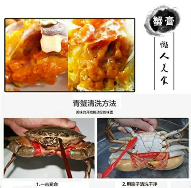 三门青蟹食用雌蟹