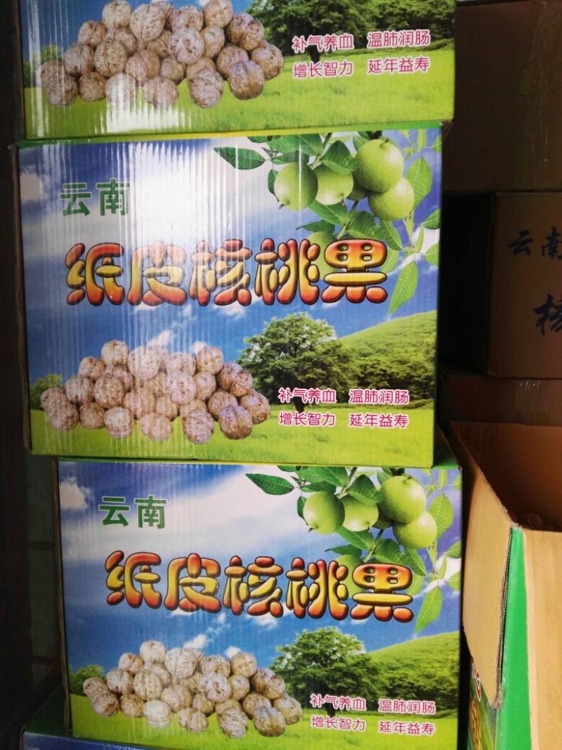 纸皮核桃30mm以上去皮干