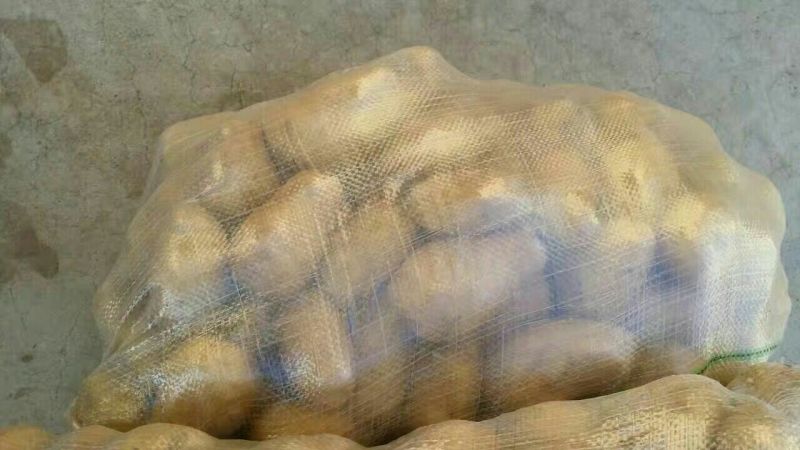 荷兰十五土豆3两以上大量供应各种规格品质的货源。