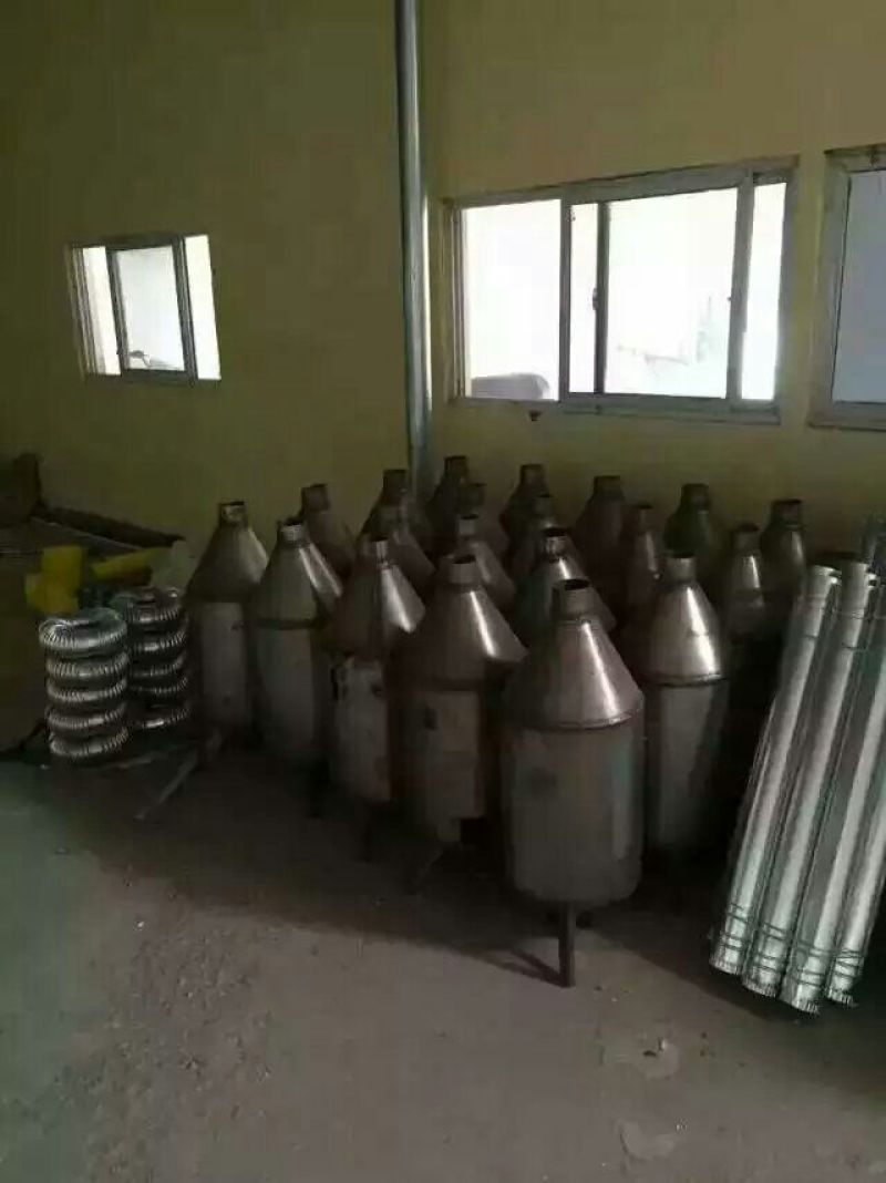 狮头鹅苗250g以上