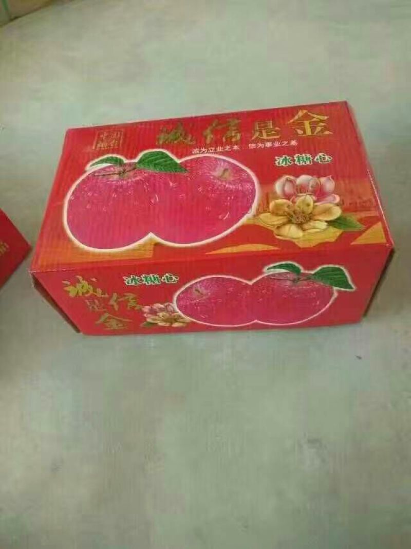 红星苹果纸袋红星苹果膜袋红星苹果产地**供应价格