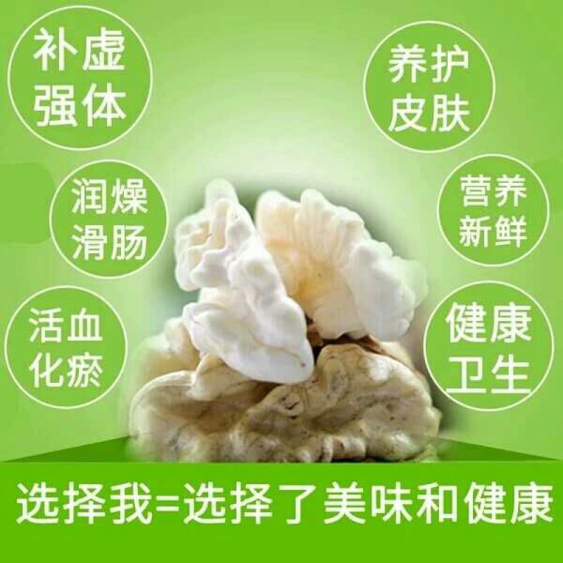 青皮核桃40mm以上青皮湿
