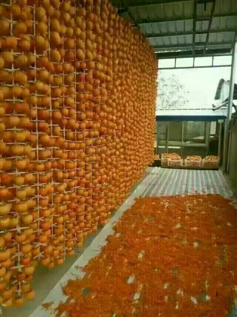 柿饼2.5两以上