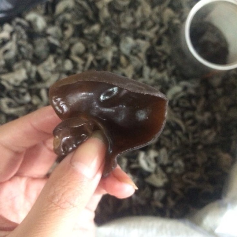 木耳