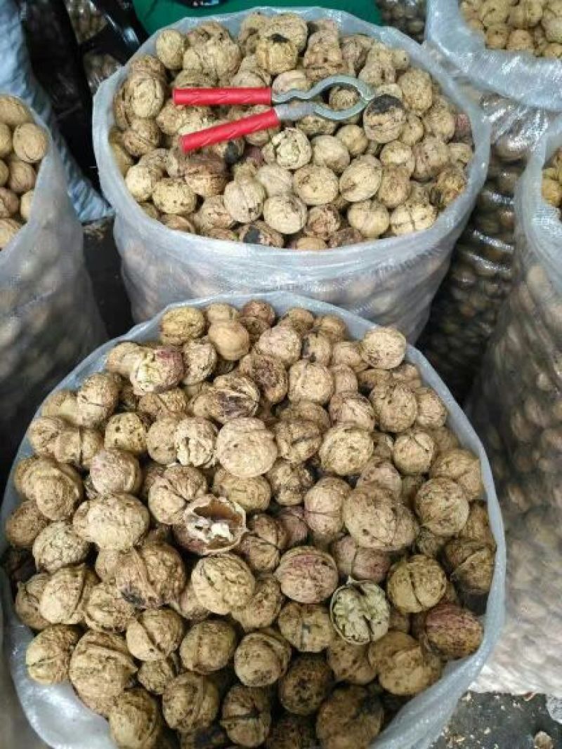 纸皮核桃去皮干