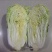 大白菜