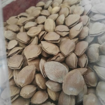 杏仁特级