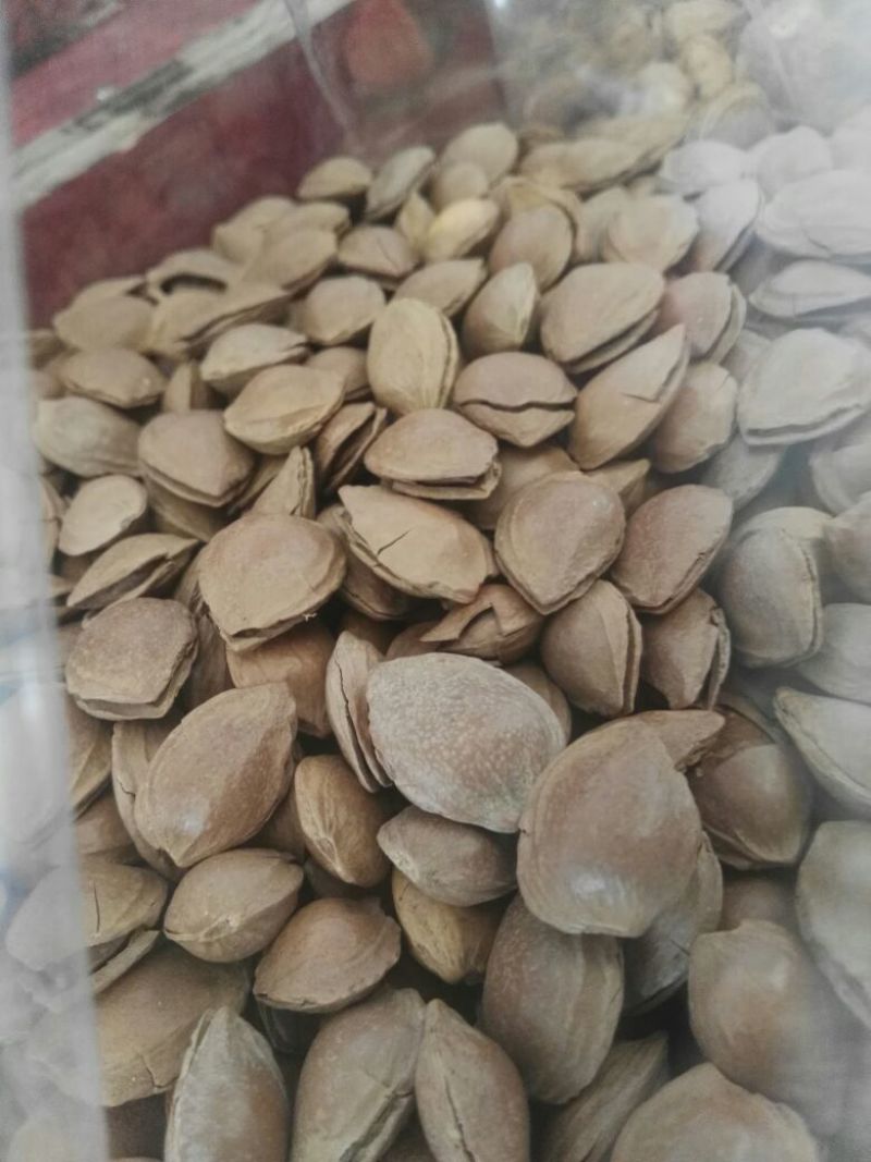 杏仁特级