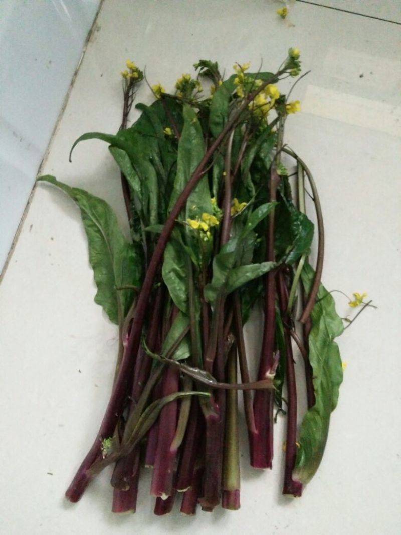 蔬菜