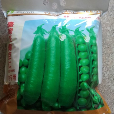 豌豆种子长寿豆种子山地大王豌豆种子