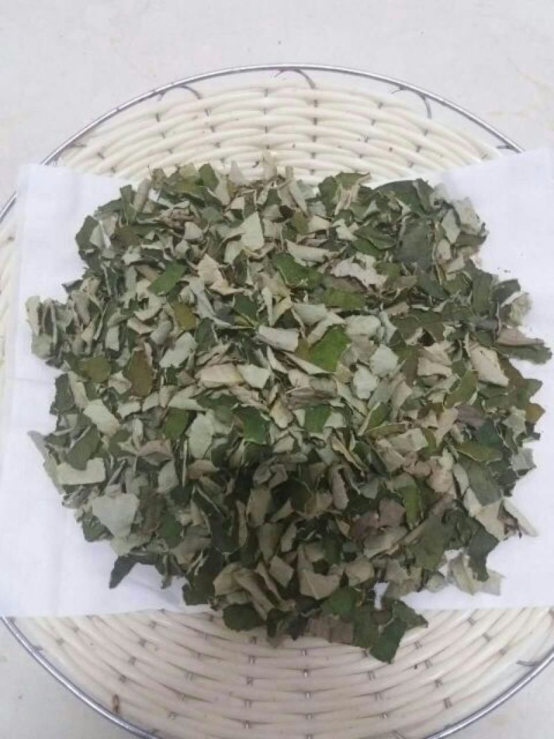 荷叶茶特级