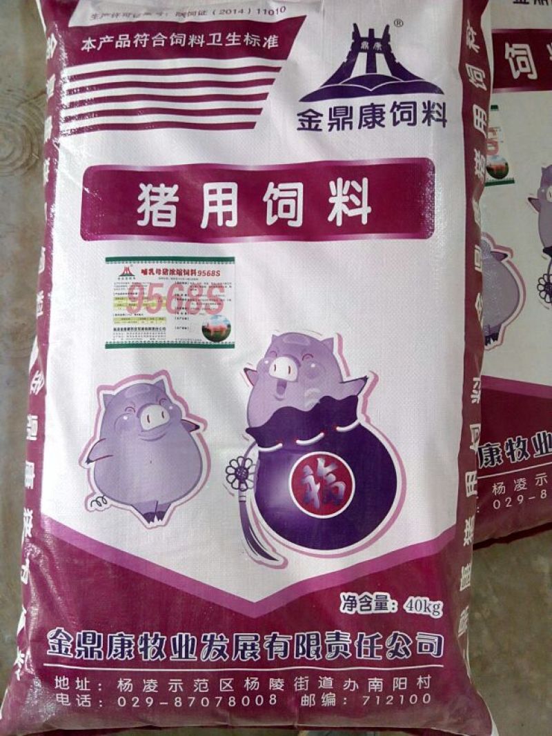 猪饲料18个月