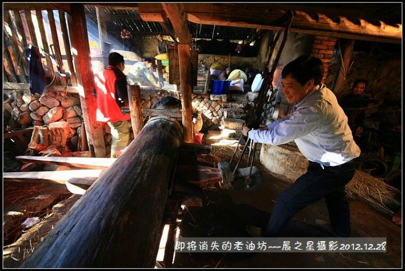 粮油作物