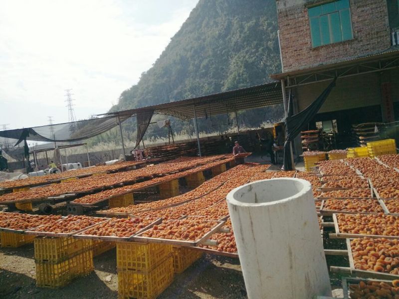 柿饼1两以下