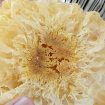 银耳特级