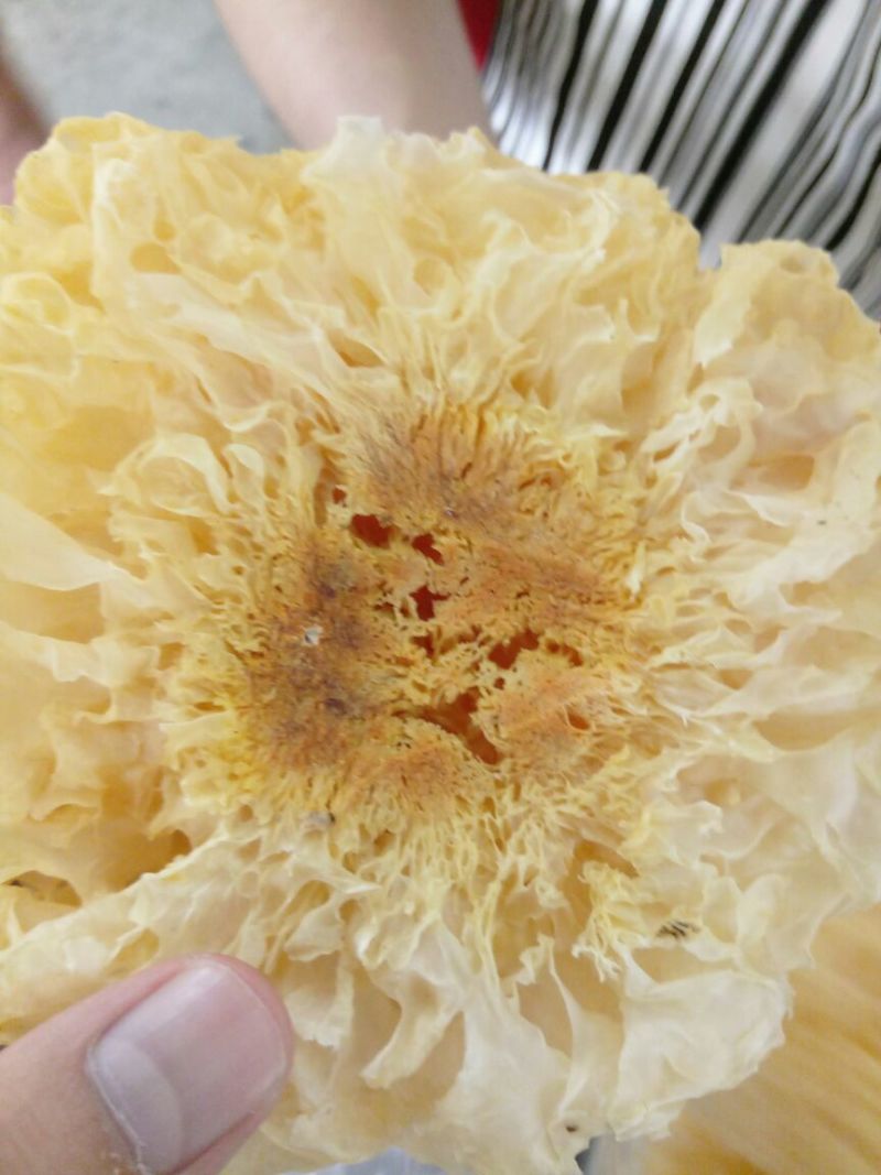 银耳特级