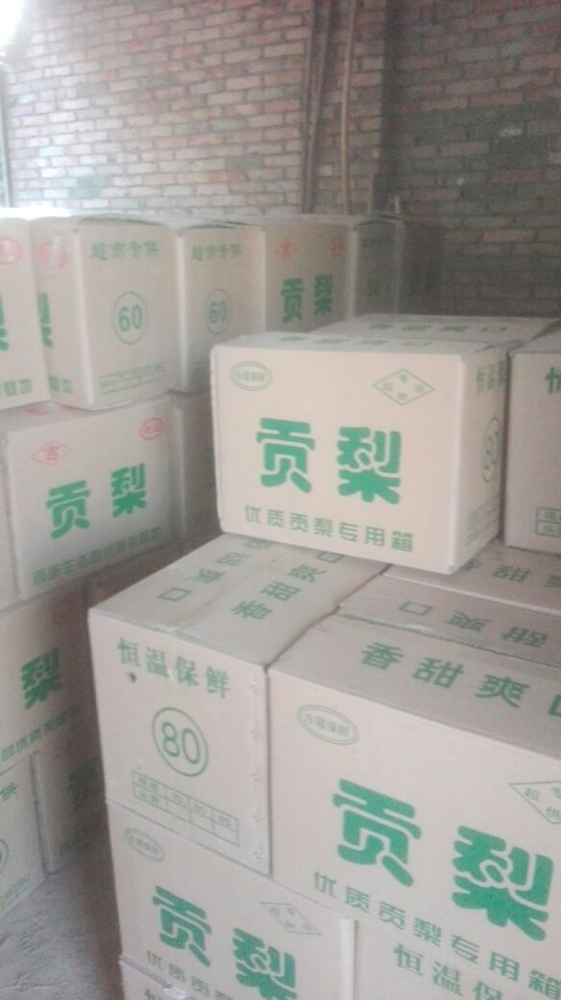 蒲城酥梨250~300g纸箱