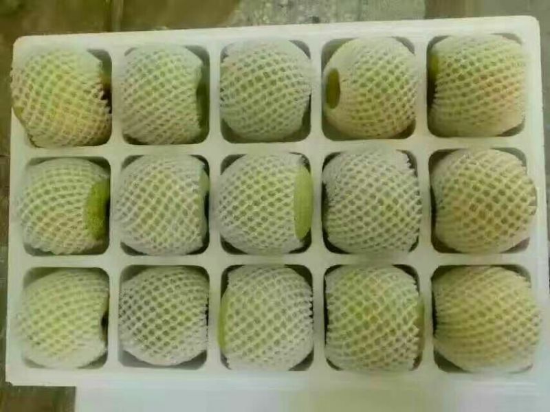 砀山梨纸箱250~300g